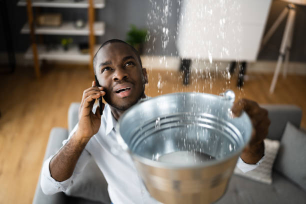 Best Carpet water damage restoration  in Lakewood, IL