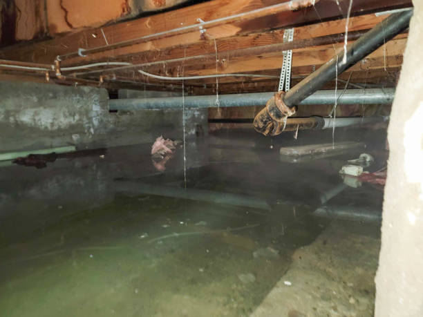 Reliable IL Water damage restoration Solutions