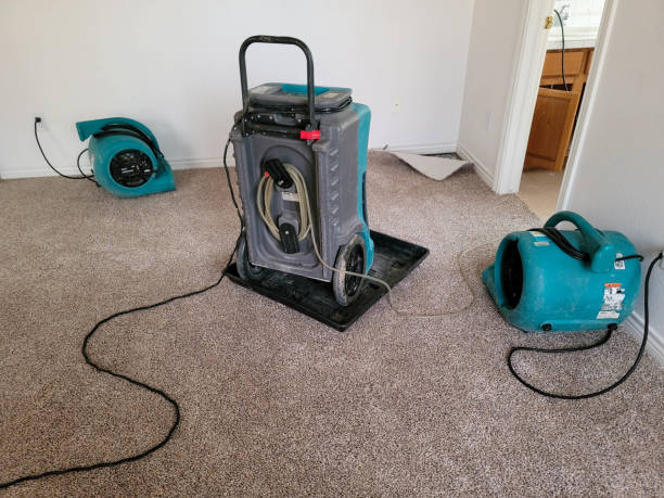 Best Ceiling water damage repair  in Lakewood, IL