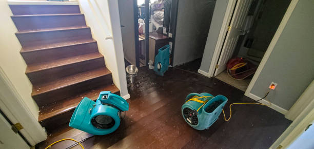 Best Fire Damage Restoration  in Lakewood, IL