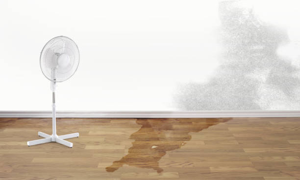 Best Residential water damage restoration  in Lakewood, IL