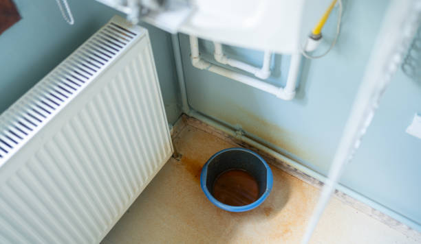 Best Commercial water damage restoration  in Lakewood, IL