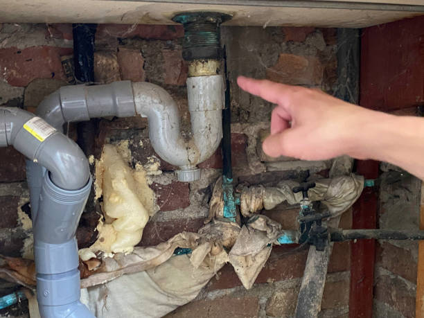 Best Water damage cleanup near me  in Lakewood, IL