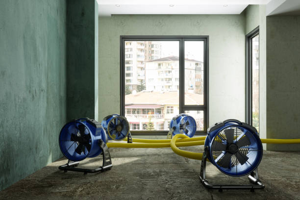 Best Local water damage restoration  in Lakewood, IL